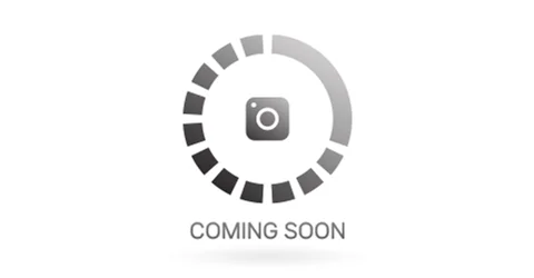 2025 Lexus RX Black Line Special Edition