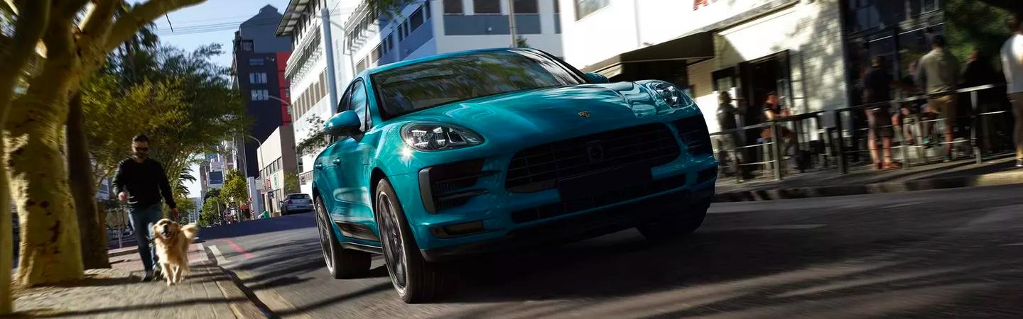 Blue Macan in the city