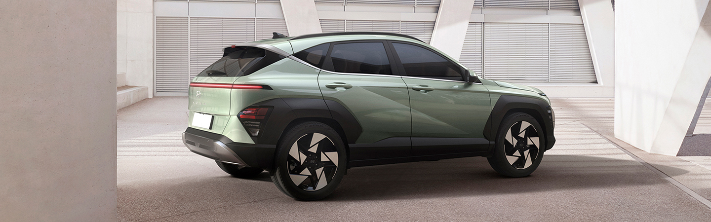 cacti green Kona