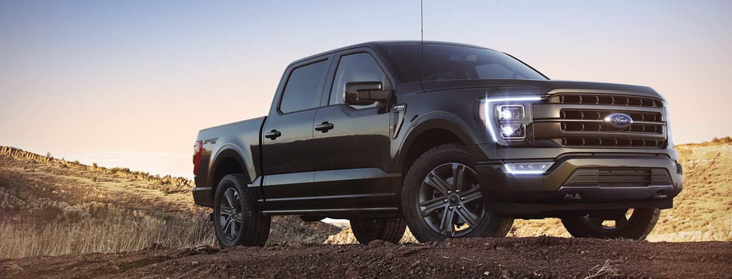 Black 2021 Ford F-150 parked in a field