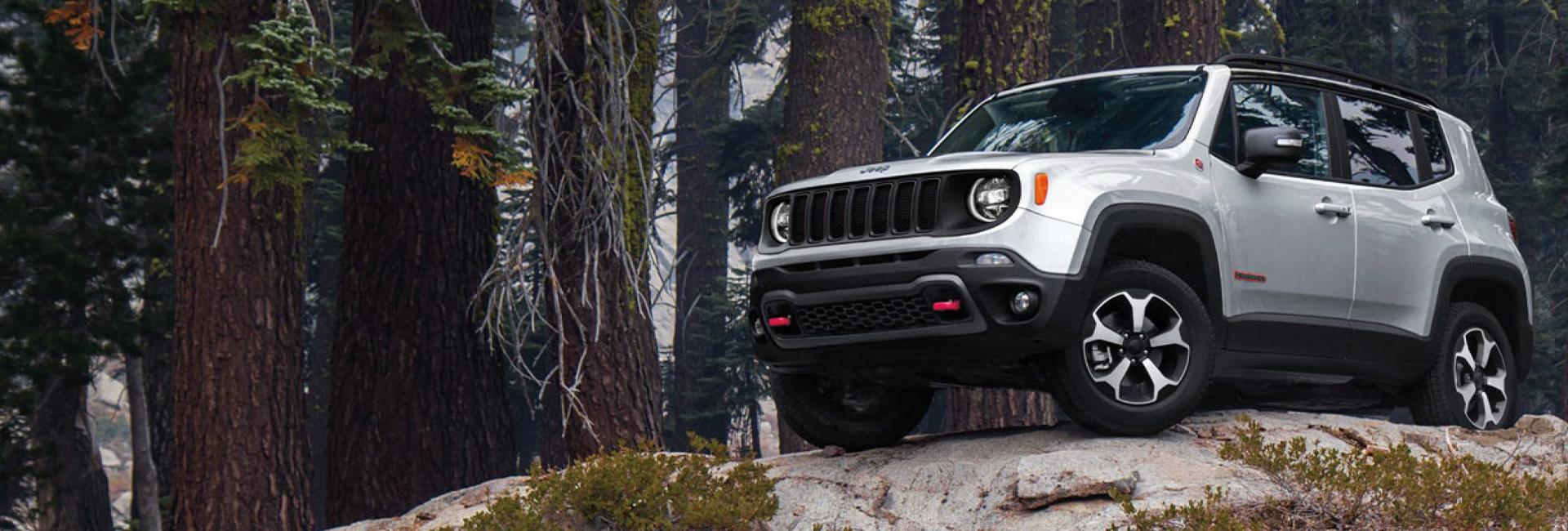 2020 Renegade on top of a hill