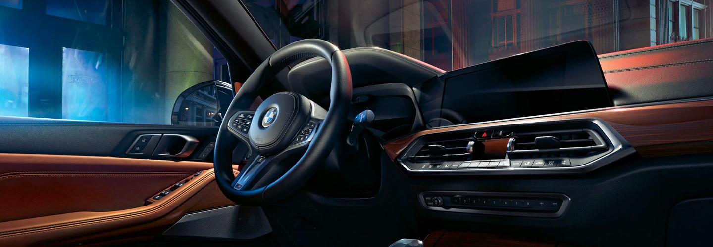 Steering wheel and entertainment center for the 2021 BMW X5