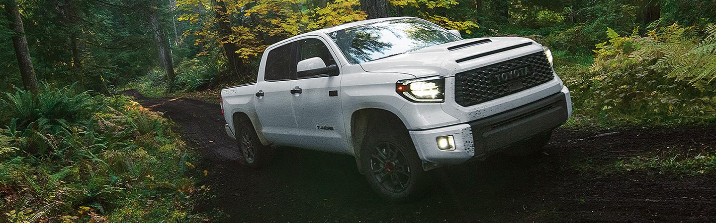 Tundra riding through a trail 