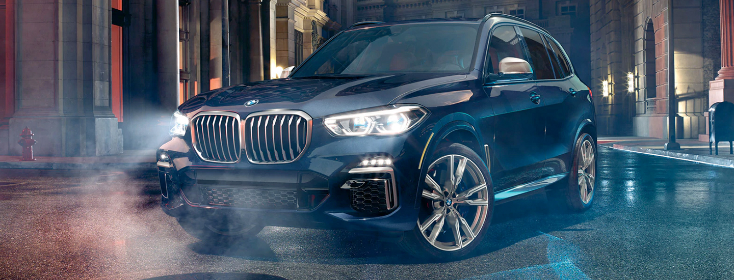 Dark Blue 2021 BMW X5 Parked in Foggy Street