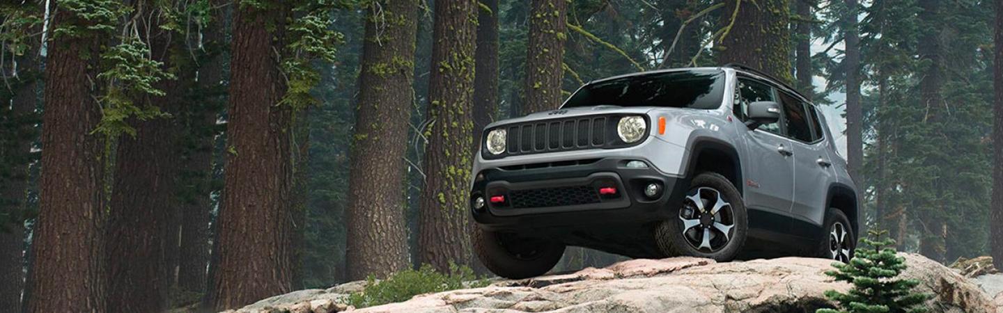 Silver Renegade parked in woods