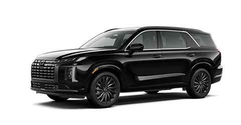 2025 Hyundai Palisade Calligraphy Night