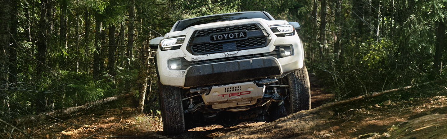 White 2021 Toyota Tacoma climbing over branches on forest trail