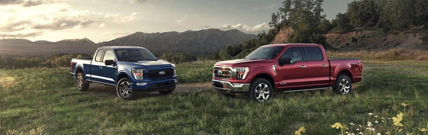 blue and red Ford F-150 lineup in grass field