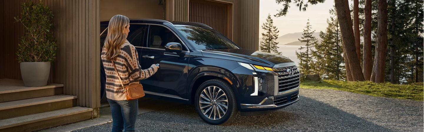 Hyundai Palisade 2023  slider4