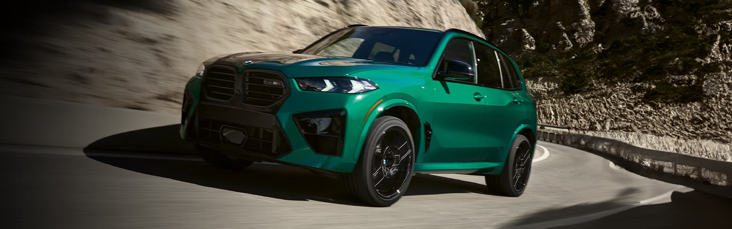 2024 BMW X5 Specs green front view